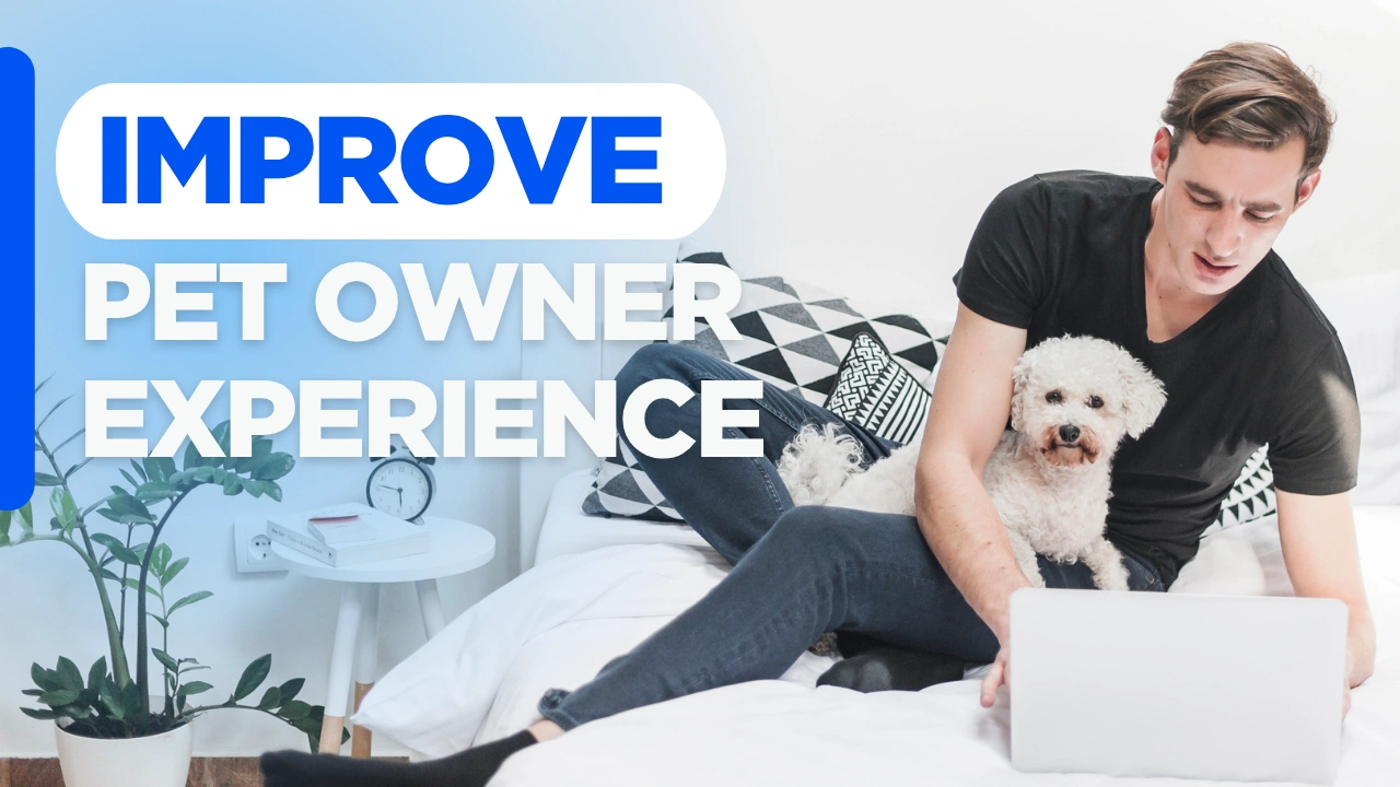 Improve pet website usability and pet owner experience with a user-friendly website designed to make information, navigation, and booking easier.