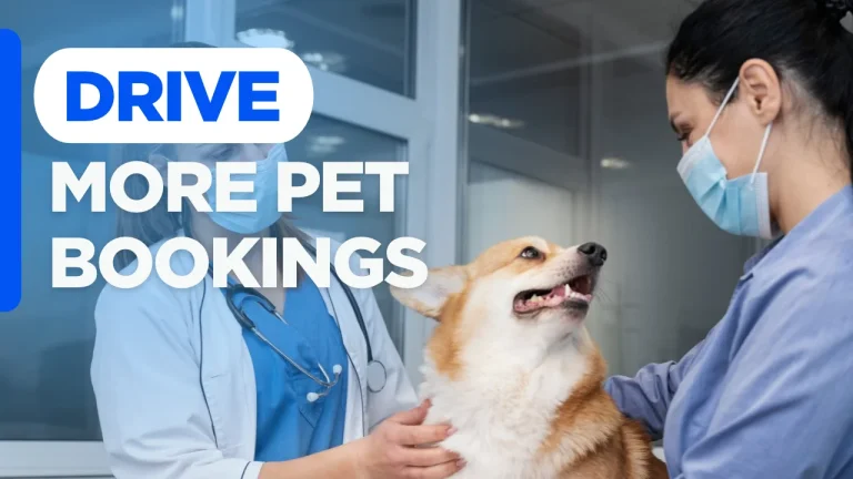Seasonal pet business marketing with “Drive More Pet Bookings” text on a custom designed background.